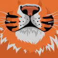 Illustration of a tigers face and paws on an orange background. The tiger has a white snout and whiskers, with black stripes and a pink nose. Its front paws are visible, adding a playful feel to the image.